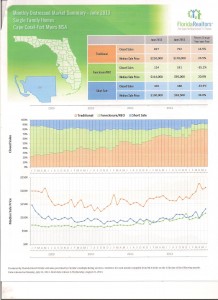 Distressed Homes Market Summary June 2013